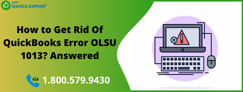 QuickBooks error OLSU 1013