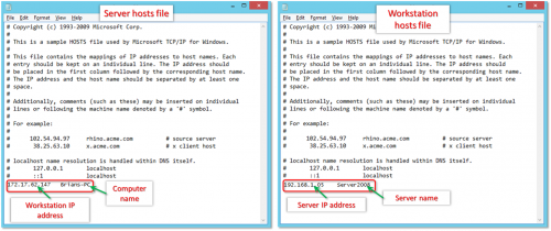 Server and workstation host